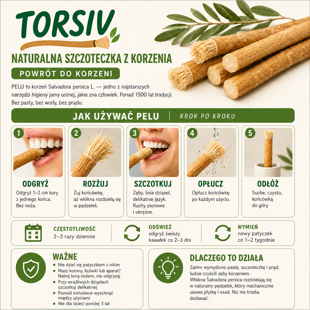 Korzeń Torsiv, naturalna szczoteczka